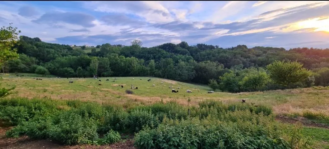 Une Pause Sur La Colline Saint-Romain-de-Surieu Vakantiehuis